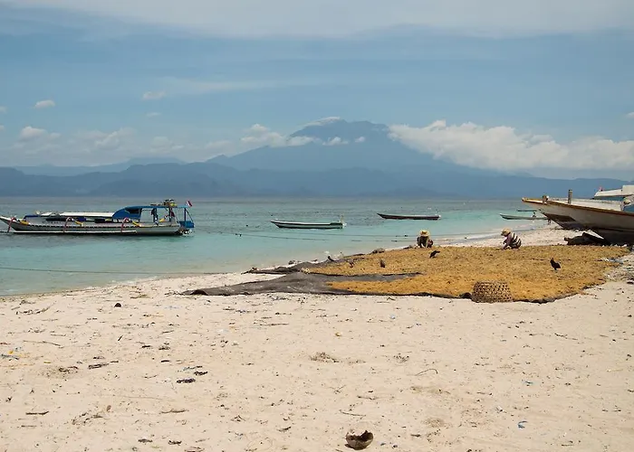 Namaste Holiday park Sakti