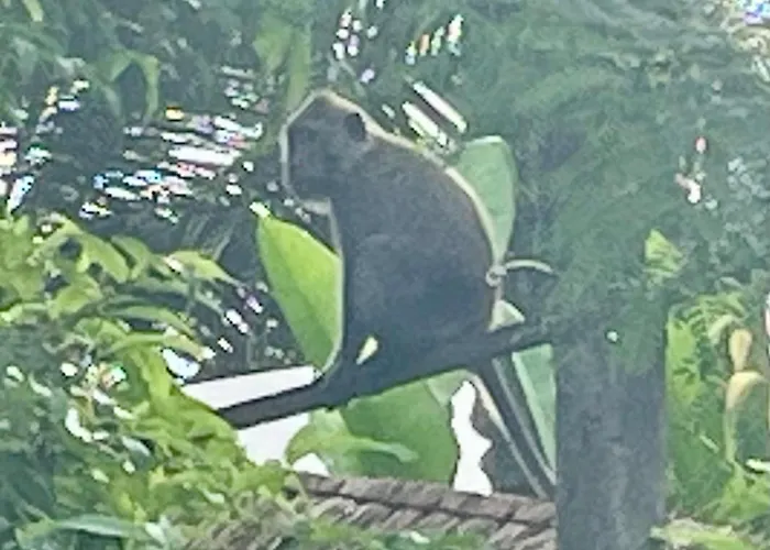Namaste Sakti
